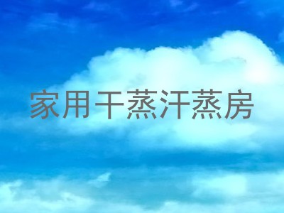 家用干蒸汗蒸房