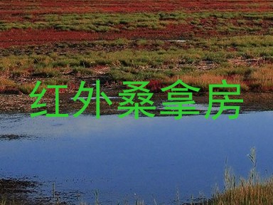 红外桑拿房