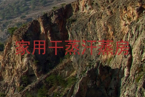 家用干蒸汗蒸房