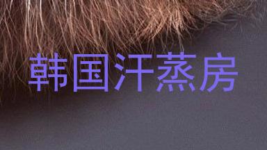 韩国汗蒸房