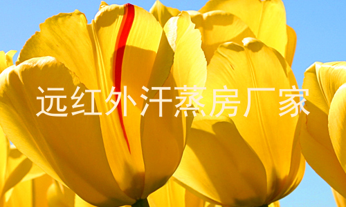 远红外汗蒸房厂家