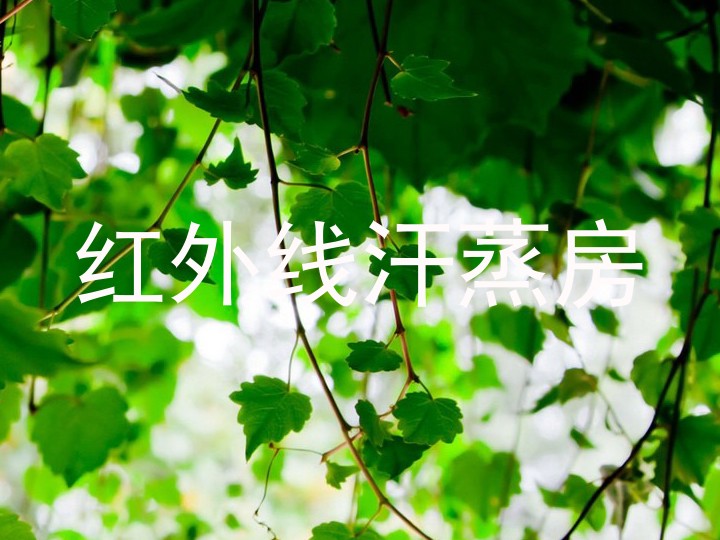 红外线汗蒸房