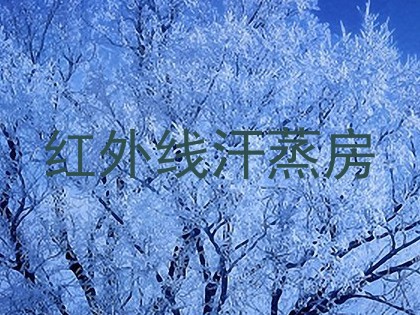 红外线汗蒸房