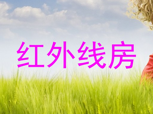 红外线房
