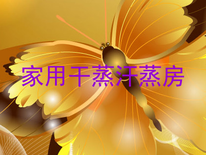 家用干蒸汗蒸房