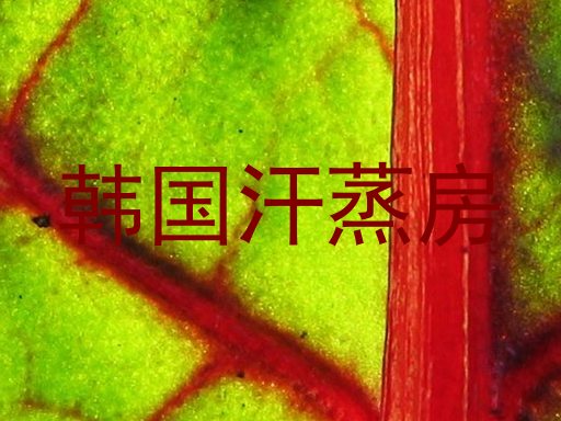 韩国汗蒸房