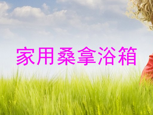 家用桑拿浴箱