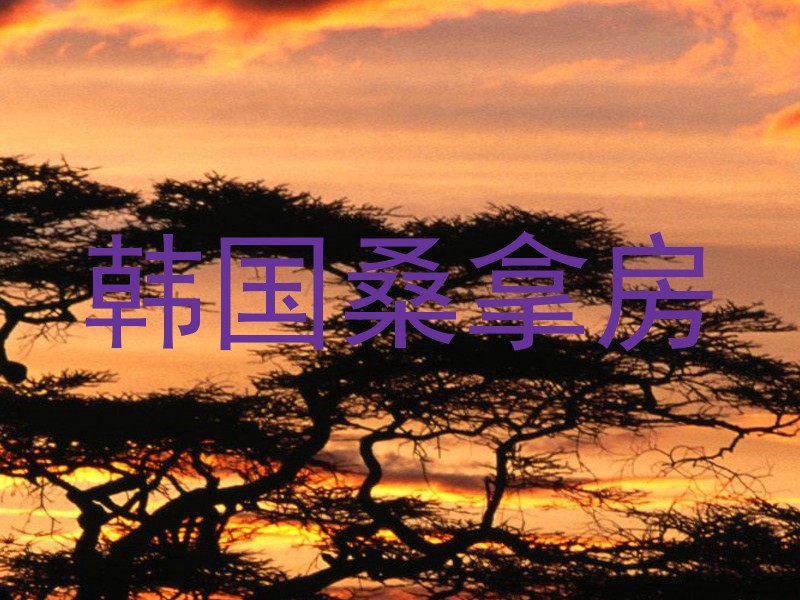 韩国桑拿房