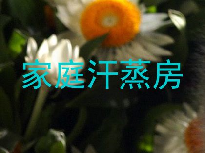 家庭汗蒸房