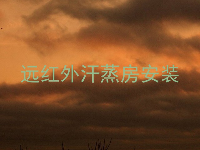 远红外汗蒸房安装