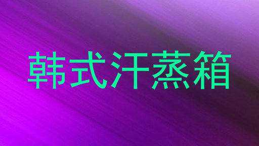 韩式汗蒸箱
