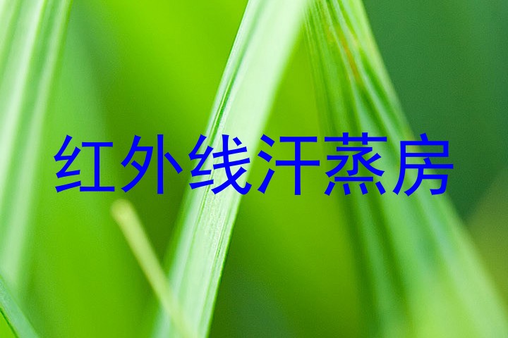 红外线汗蒸房