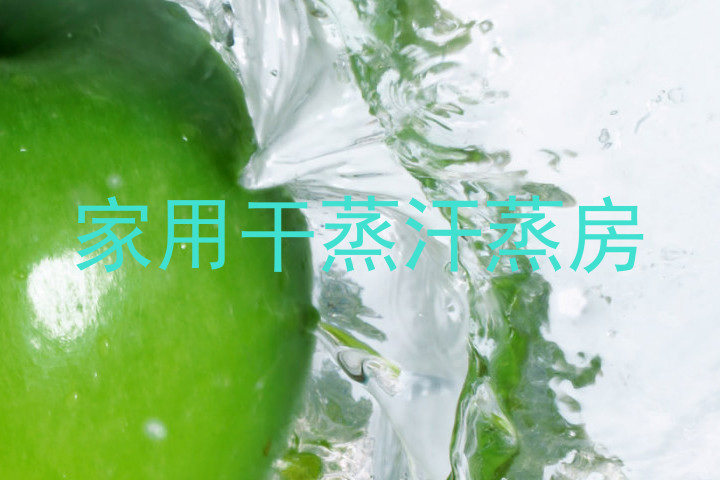 家用干蒸汗蒸房