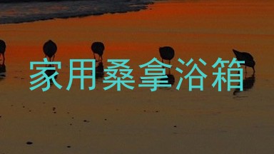 家用桑拿浴箱