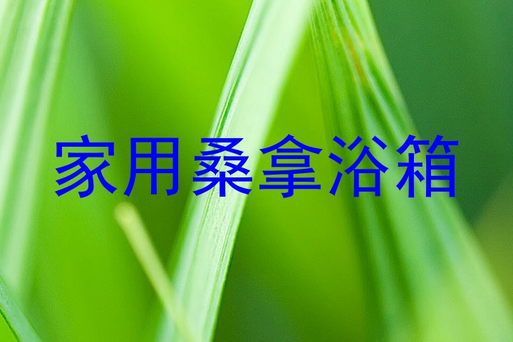 家用桑拿浴箱