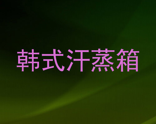 韩式汗蒸箱