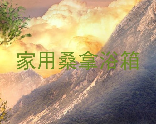 家用桑拿浴箱