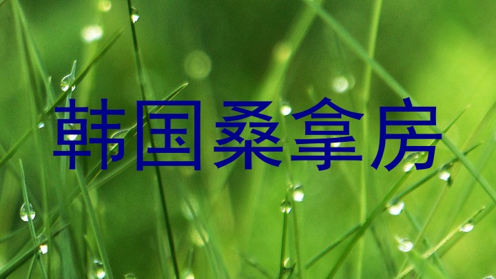 韩国桑拿房