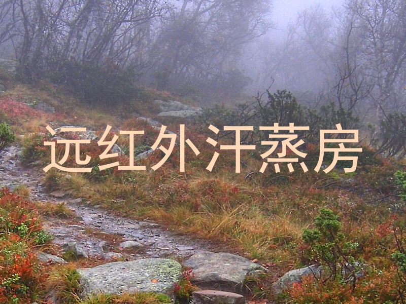 远红外汗蒸房