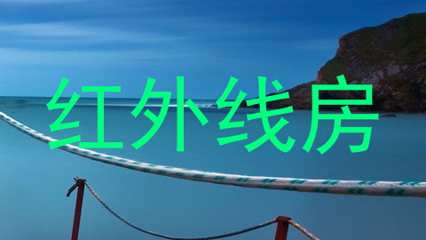 红外线房