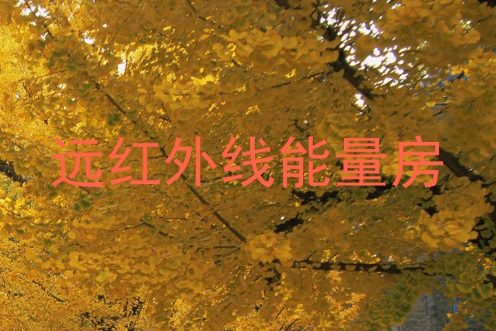 远红外线能量房