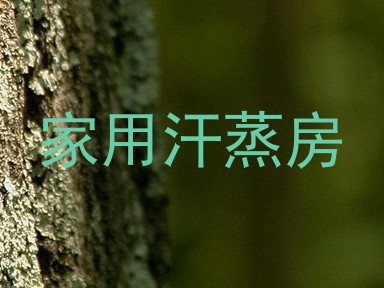家用汗蒸房