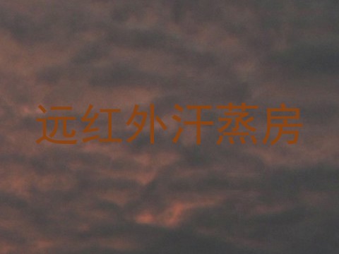远红外汗蒸房