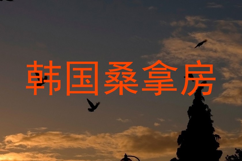 韩国桑拿房