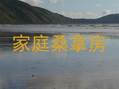 家庭桑拿房