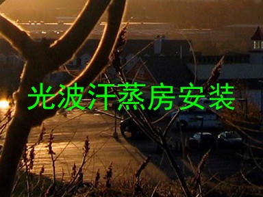 光波汗蒸房安装