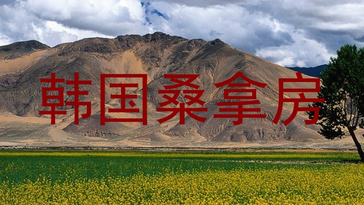 韩国桑拿房