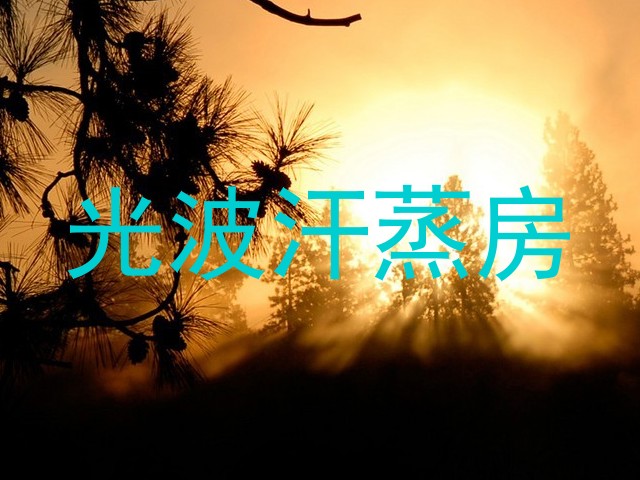 光波汗蒸房