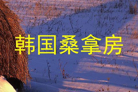 韩国桑拿房