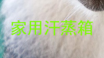 家用汗蒸箱