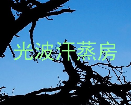 光波汗蒸房