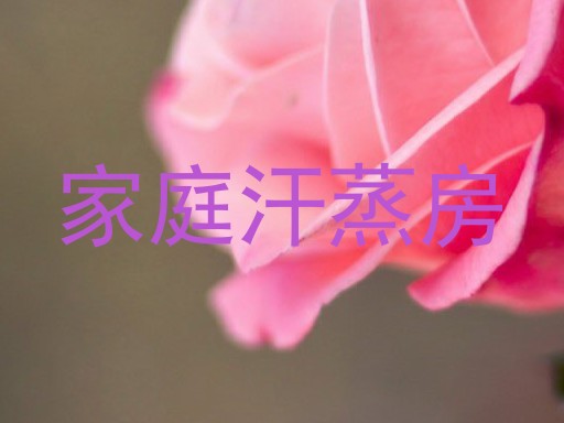 家庭汗蒸房