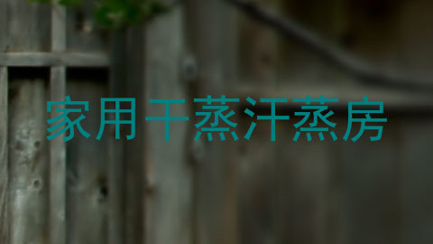 家用干蒸汗蒸房