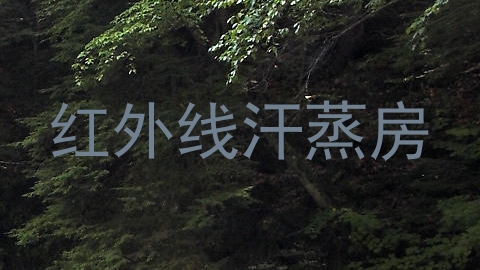 红外线汗蒸房