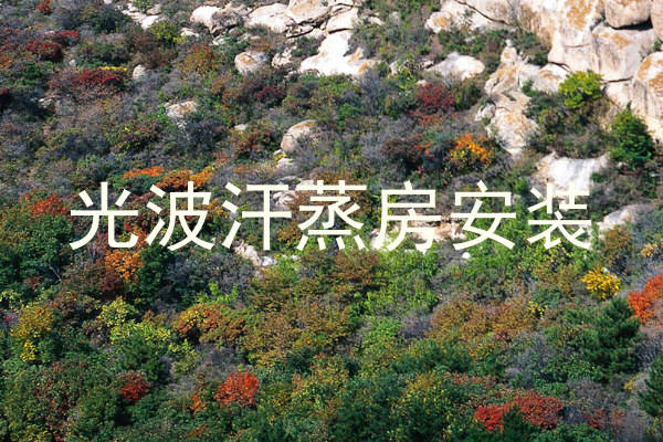 光波汗蒸房安装