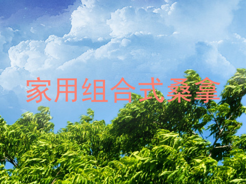 家用组合式桑拿