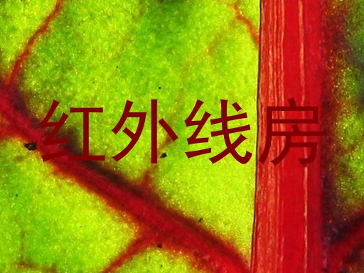 红外线房