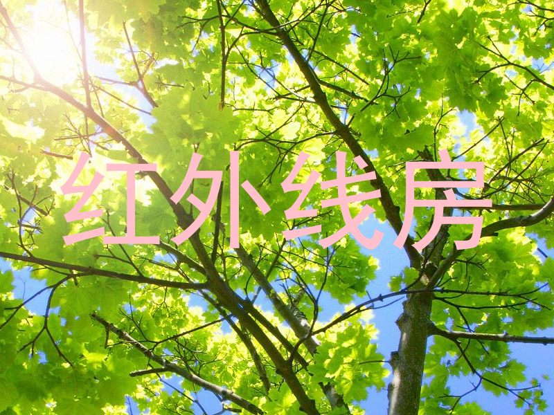 红外线房