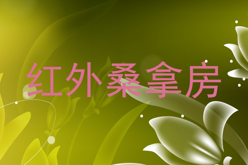 红外桑拿房