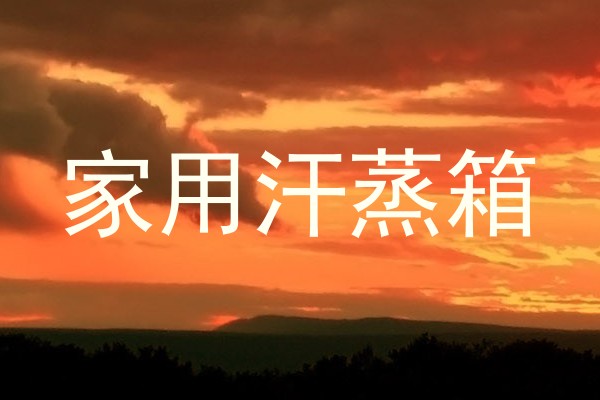 家用汗蒸箱