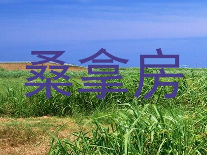 桑拿房