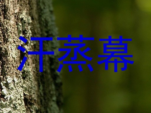 汗蒸幕