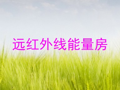 远红外线能量房