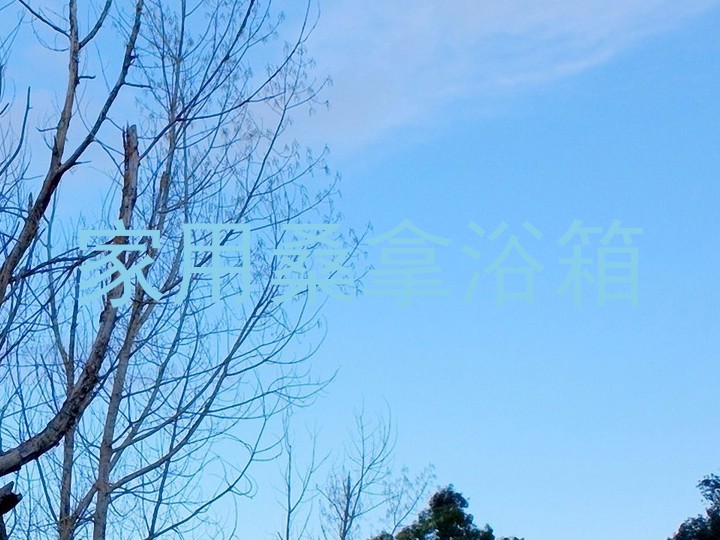 家用桑拿浴箱