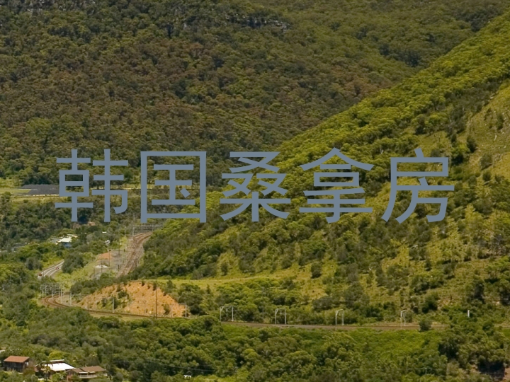 韩国桑拿房