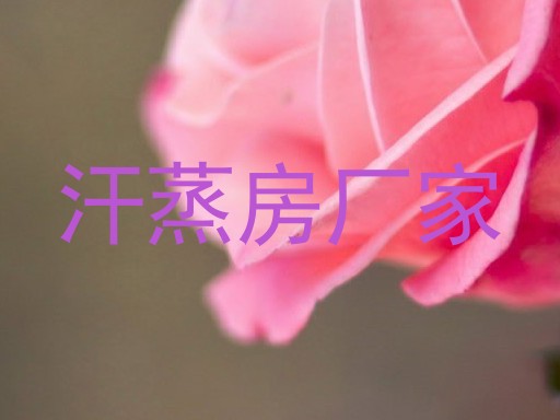 汗蒸房厂家